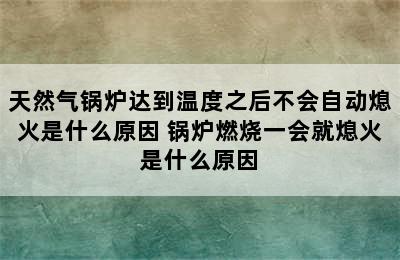 天然气锅炉达到温度之后不会自动熄火是什么原因 锅炉燃烧一会就熄火是什么原因